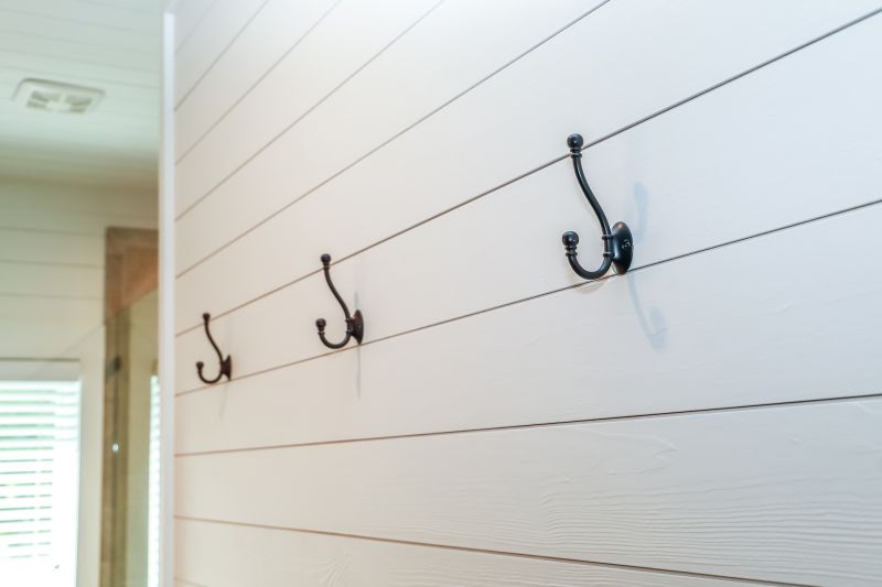 Shiplap Wall Installation in Spring